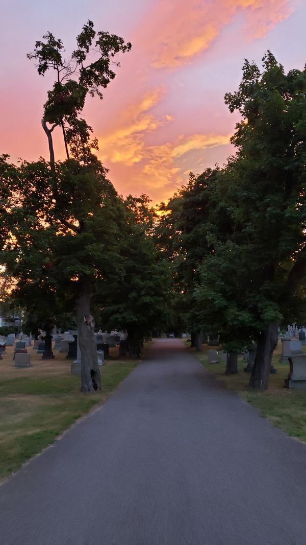 A photo of a paved path inside a cemetery. The path is lined with trees and gravestones on either side. The top half of the image is dominated by a cloud at sunset, colored mostly orange, with tinges of yellows and pinks.