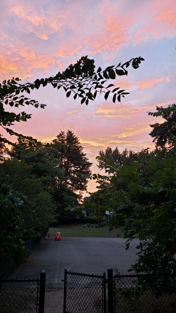 A photo just outside of a basketball court at sunset. The court is partly obscured by trees and its sole occupant is a child's toy vehicle. The majority of the image from the top pictures clouds at sunset, colored pink, orange, and yellow.