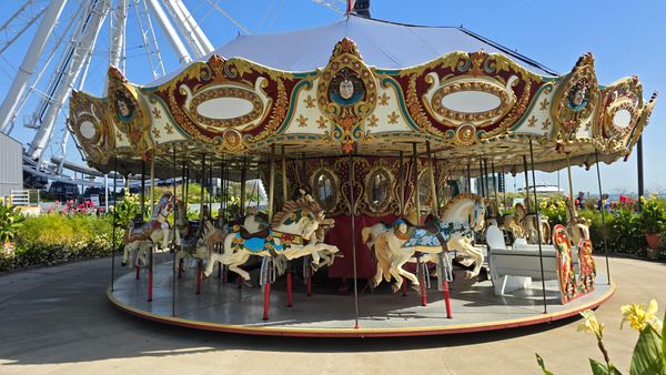 A carousel at the Navy Pier