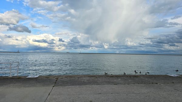 A picture off of a footpath next to Lake Michicgan, with the horizon over the lake about halfway up. The sky is dotted with fluffy clouds.