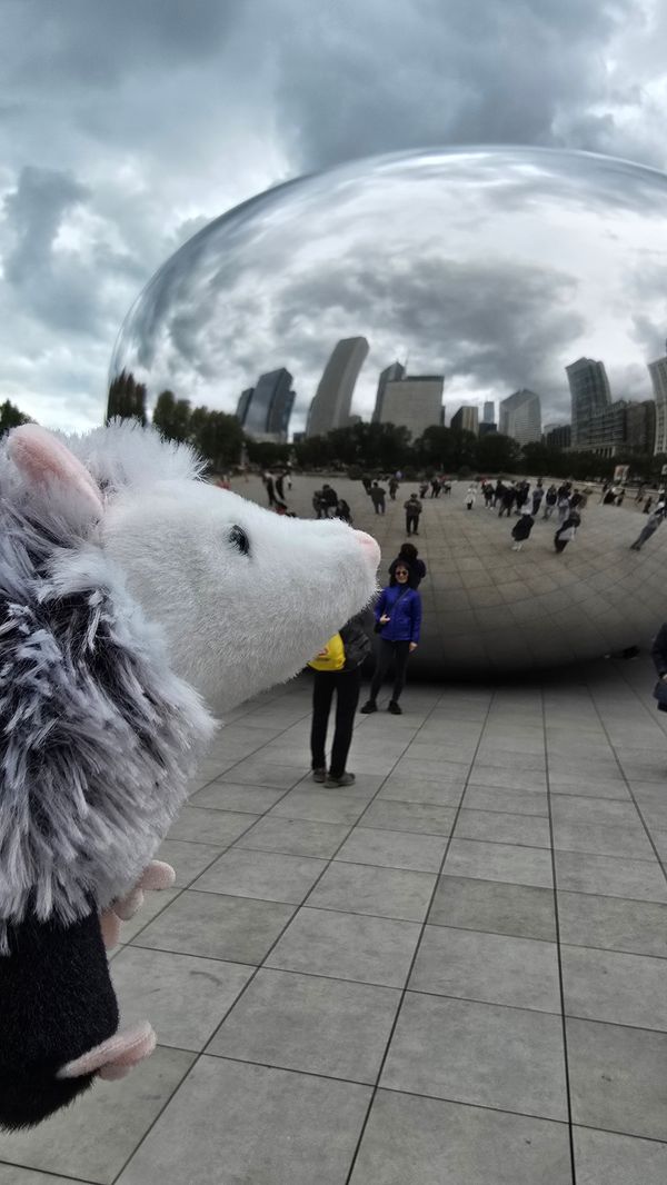 A shot of a stuffed opossum named Penny, with the Bean out of focus in the background.