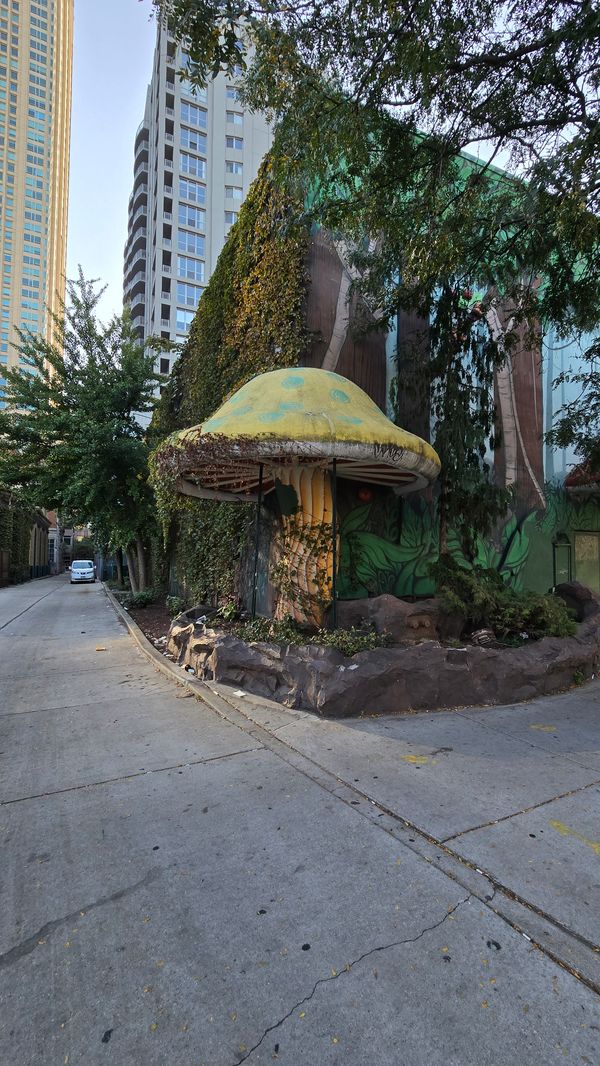 A large, fake, yellow mushroom on the corner of an ivy-covered building, entirely covered by a mural of a rainforest.