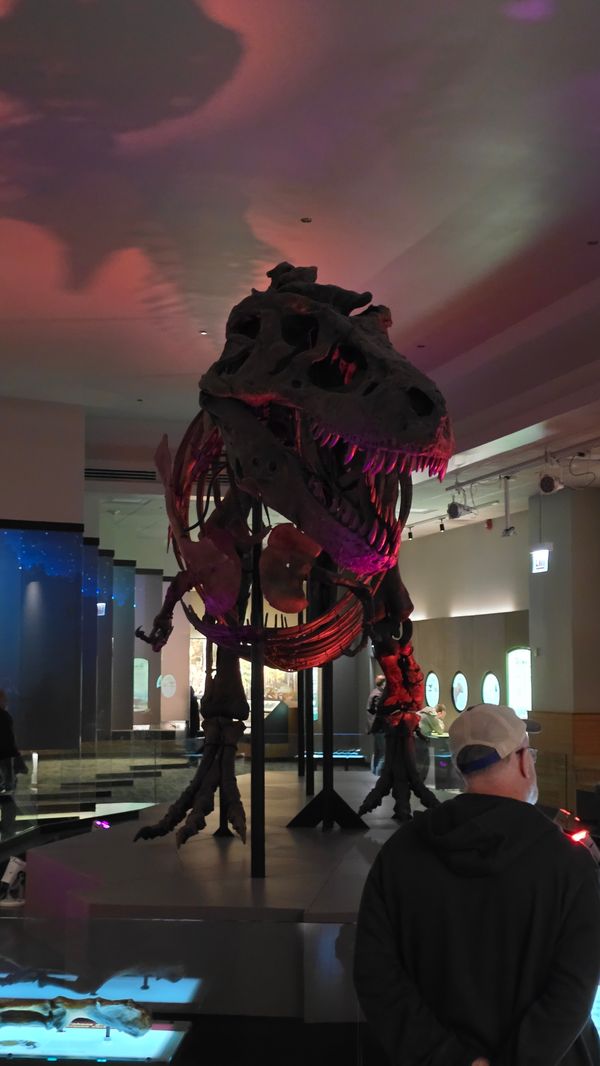 A photo of SUE the T-Rex skeleton, in dark lighting, lit in red from below.