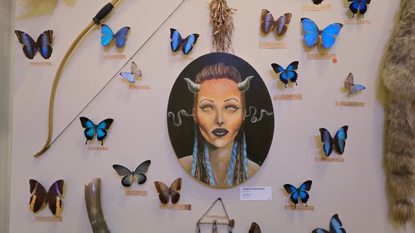 A display of several taxidermied blue butterflies. In the center is a painting of a horned woman wearing black lipstick, with yellow and red eyes. The painting is by Angela Bachman, titled 'SHE DEVIL'