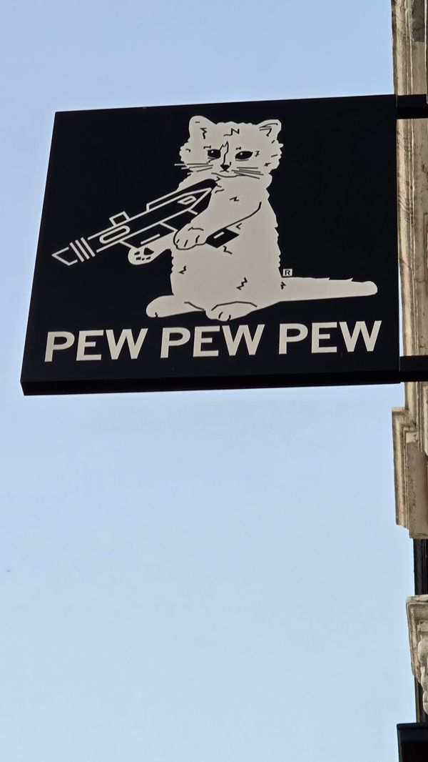 A sign for the store Raygun, which depicts a cat holding a laser gun. The sign is captioned 'PEW PEW PEW'