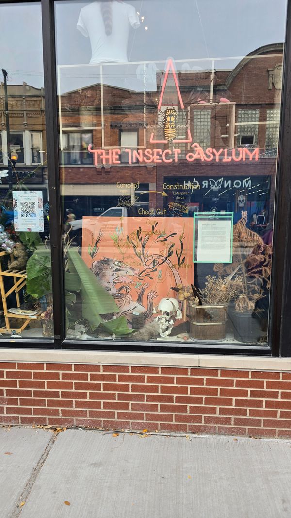 A photo of the outside of The Insect Asylum in Chicago. A red neon sign spells out the name, under neat a large picture of a butterfly. In the window are various plants, a broken apart skull, and a painting of an opossum covered in small plant shoots.