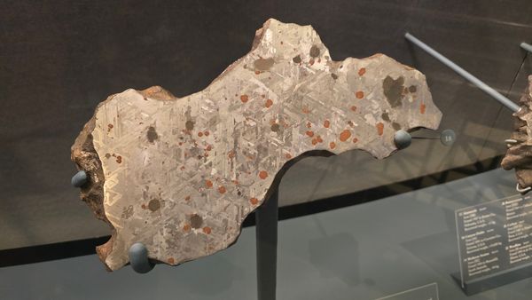 A large meteorite cross section with rusty splotches and a hexagonal geometric layout.